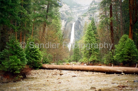 http://www.sandlerphotography.com/Photos/01270024 -2 -LR.JPG